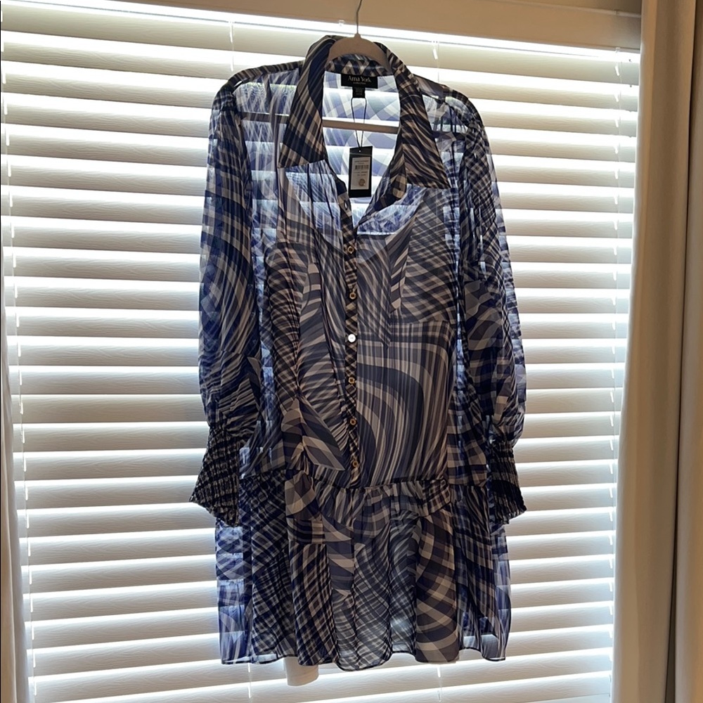 Blue Sheer Button-Up Blouse
